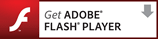 Namestite Adobe Flash Player