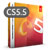 CS5.5 Design Standard box