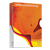 Упаковка Illustrator CS3