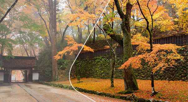 Elements 14なら、写真やビデオが、かんたん操作であっという間に生まれ変わる。