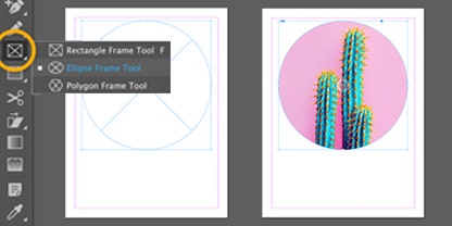 Screenshot showing InDesign user interface showing a cactus being designed into an icon