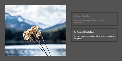 Use Enhance features in Adobe Camera Raw.