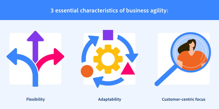 The three essential characteristics of business agility are flexibility, adaptability, and a customer-centric focus.