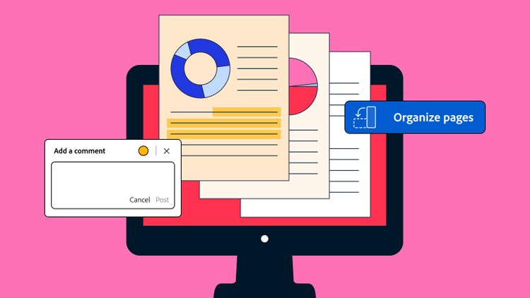 Adobe Acrobat helps organize the pages of a report and allows reviewers to leave comments.