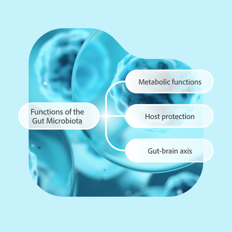 A mind map with one central sample topic and three branches on a blue background.