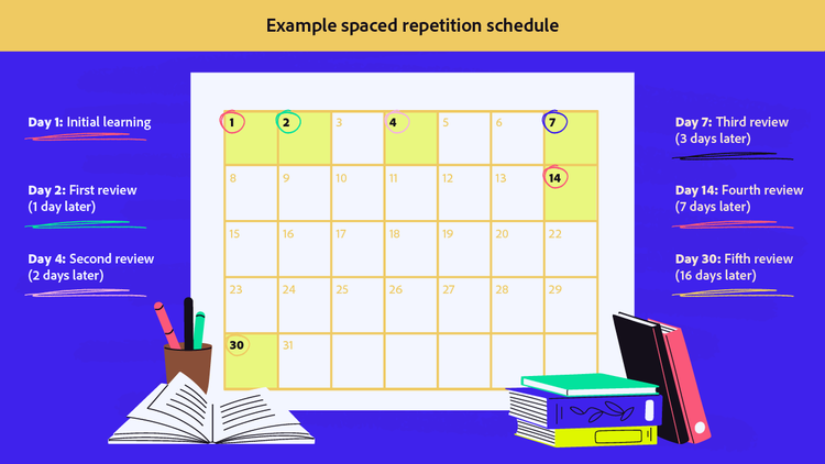 An example spaced repetition schedule.