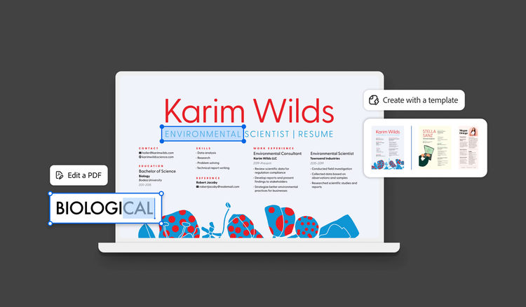 A resume being edited inside a PDF.