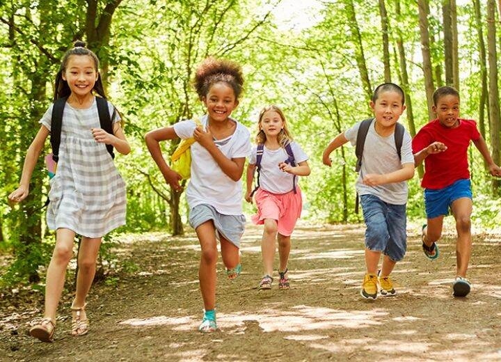 Five children running toward the camera on a dirt path surrounded by a grove of trees on a school field trip
