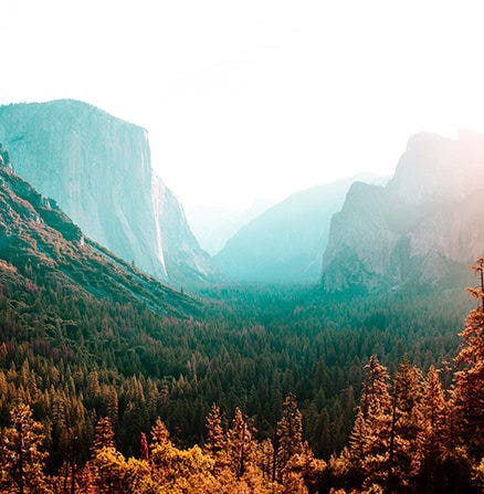 Sunlit landscape image of a forest valley leading to distant mountains