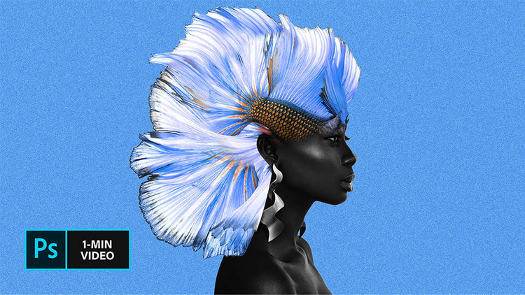 Picture 2066974452, Picture, Picture