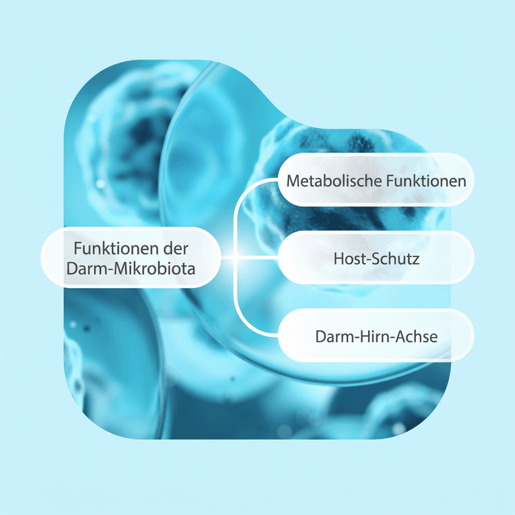 Eine Mindmap mit einem zentralen Beispielthema und drei Verzweigungen auf blauem Hintergrund.