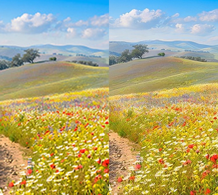 Zwei nebeneinander gezeigte Bilder einer Wiese mit bunten Blumen. Im rechten Bild sind durch die Hochskalierung mehr Details zu sehen.