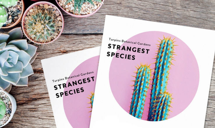 Erstelle einen einzigartigen Flyer mit leistungsstarken Tools und Design-Vorlagen.