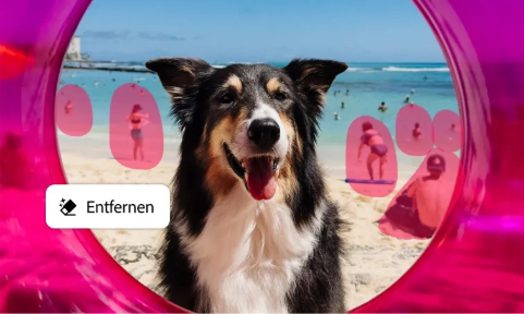 Mit „Generatives Entfernen“ lässt du unerwünschte Elemente schnell verschwinden.