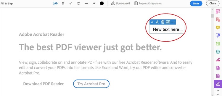 Screenshot of new text box on Adobe Acrobat Reader with circle