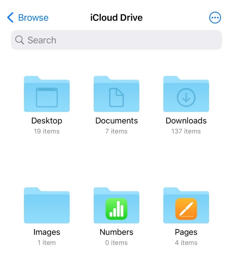 Screenshot of files folders on iPhone