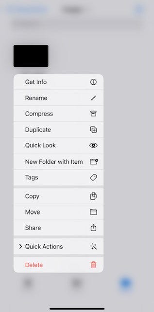 Screenshot of file folder options