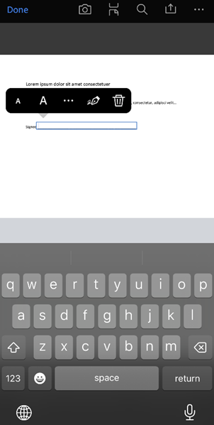 Screenshot showing the typing options that appear after clicking on the signature box.