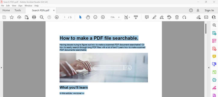 Screenshot taken from with Acrobat app showing highlighted text using the Ctrl+A keys.