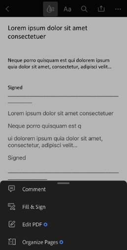 Screenshot showing the options that appear after clicking the blue pen icon.