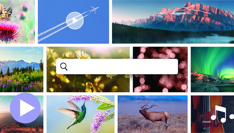 Play video about Adobe Stock