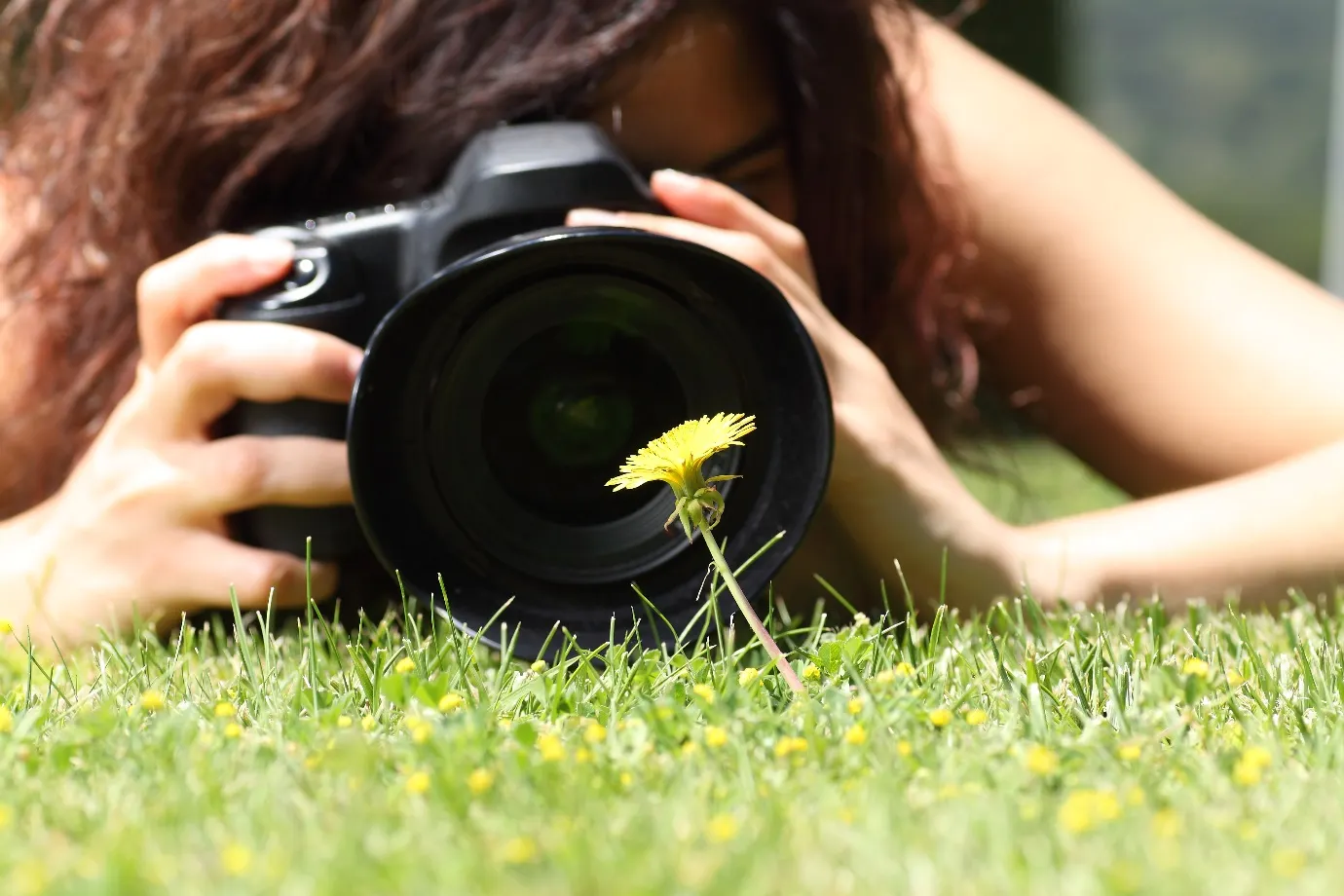 Photographer taking a closeup shot of a small flower