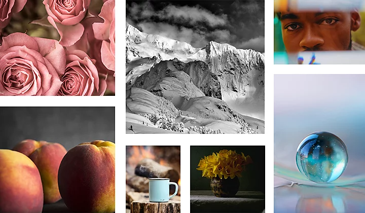 Colagem de diferentes tipos de fotos artísticas