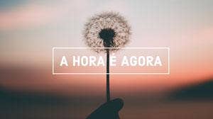 dandelion desktop wallpapers Cabeçalho do Twitter