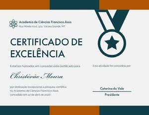 CERTIFICADO DE <BR>EXCELÊNCIA  Diploma