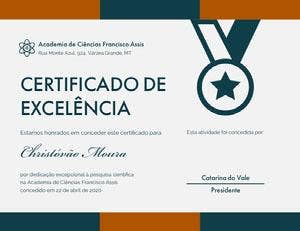 CERTIFICADO DE <BR>EXCELÊNCIA Diploma