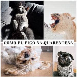 Como eu fico na quarentena Meme