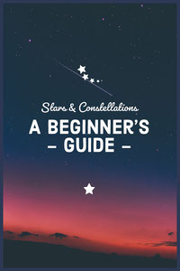 A beginner’s - guide - Melhores Sites de Mídias Sociais