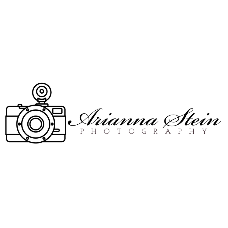 Arianna Stein Photography logo written in a cursive font with an icon of a camera in black and white