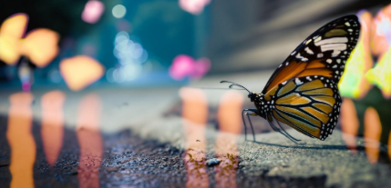 Imagem de borboleta gerada por IA