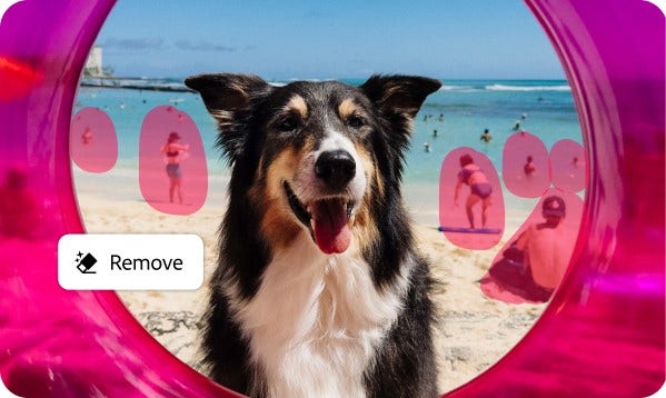 Generative Remove now makes it easier than ever to quickly clean up anything.