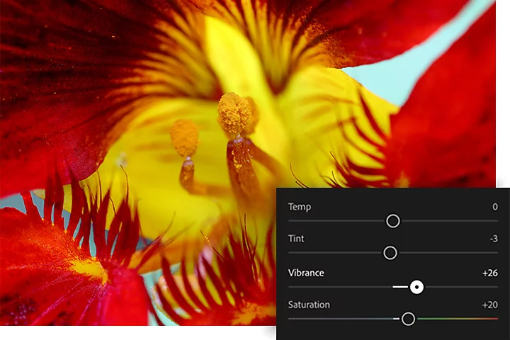An extreme close-up of a flower with the Adobe {{lightroom}} color saturation settings pane superimposed over it