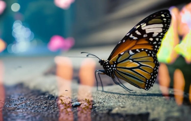 Image générée par IA d'un papillon monarque sur fond de lumières bokeh colorées