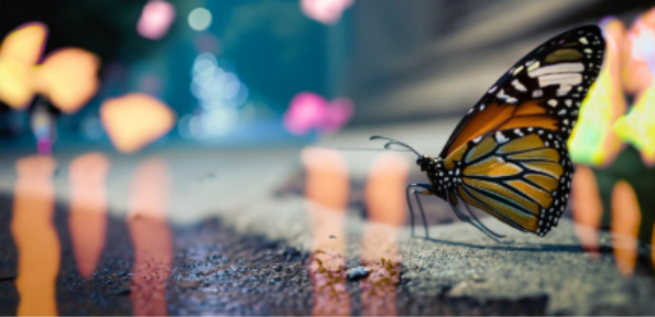 Image d’un papillon générée par l’IA