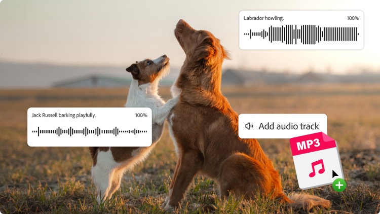 Deux chiens qui jouent dans un champ avec, en incrustation, l'interface du générateur d'effets sonores par IA affichant des formes d'onde et le bouton Ajouter une piste audio, pour montrer comment superposer plusieurs aboiements et plusieurs effets audio