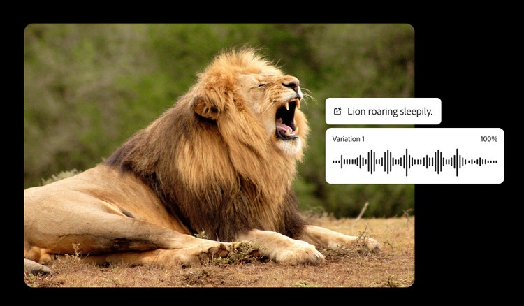 Photo d'un lion rugissant avec, en incrustation, le prompt « lion paresseux en train de rugir », pour montrer comment créer un son animalier réaliste à l'aide du générateur d'effets sonores par IA de Firefly