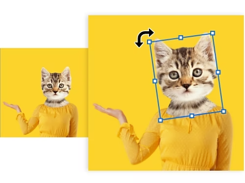 Comparaison avant/après d'une photo dont on a fait pivoter un calque