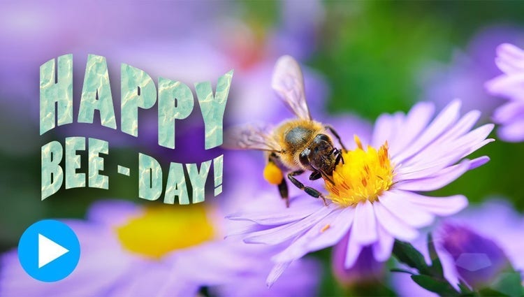 https://main--cc--adobecom.aem.live/cc-shared/fragments/modals/videos/products/photoshop-elements/add-text-guided-edit#addtext | Create stylized text