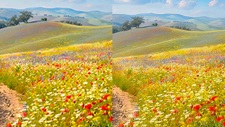 Twin images of a flower-filled field are shown side-by-side. The image on the right shows greater detail due to upscaling.