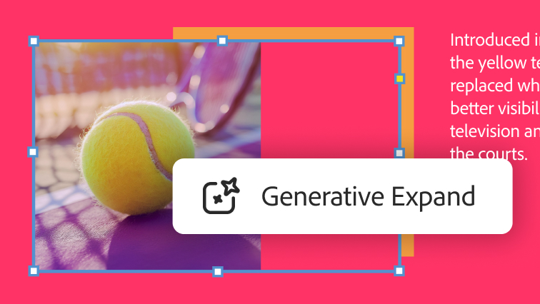 Layout design and desktop publishing software | Adobe InDesign