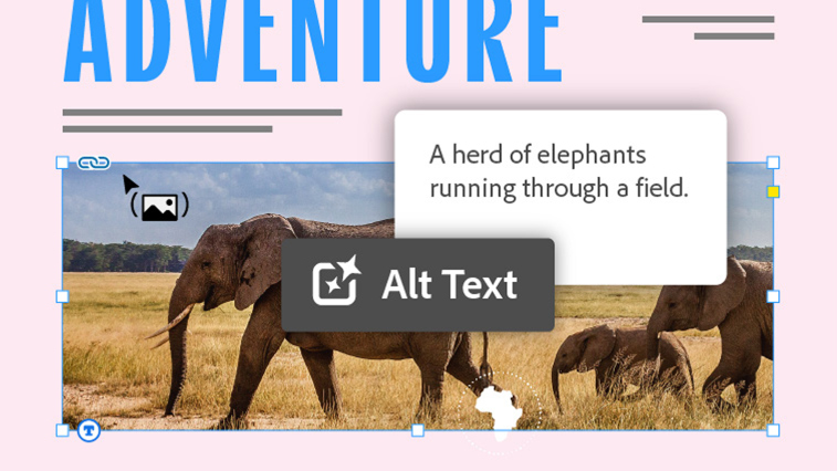 Layout design and desktop publishing software | Adobe InDesign