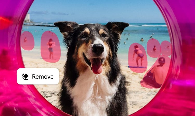A dog on a beach with people in the background
