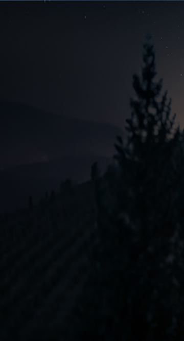 Eine Grille auf einem Zweig mit einem Weinberg im Hintergrund und überlagerten Audiowellenformen, die die Verwendung eines Sound-Effekt-Generators zur Erstellung von Grillengeräuschen veranschaulichen.