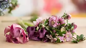 Image de fleurs à laquelle des filtres ont été appliqués