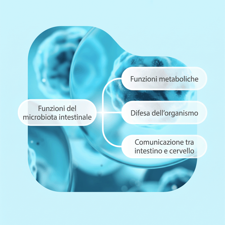 Una mappa mentale con un argomento centrale e tre rami su uno sfondo blu.