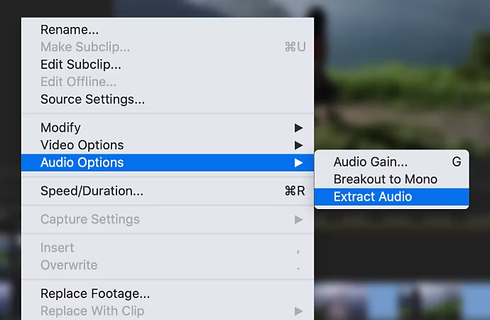 Opzioni per estrarre l’audio in Adobe {{premiere}}.